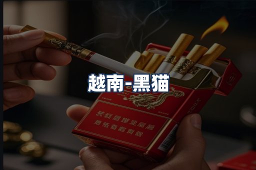 越南黑猫